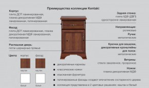 Детская Кентаки Белый в Трёхгорном - tryohgornyj.mebel74.com | фото 2