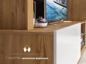 Гостиная Флекс в Трёхгорном - tryohgornyj.mebel74.com | фото 4