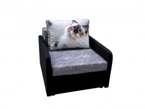 Кресло кровать Канзасик с подлокотниками кот голубые глаза в Трёхгорном - tryohgornyj.mebel74.com | фото 1