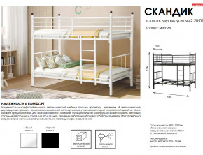 Кровать двухъярусная Скандик 42.20-01 в Трёхгорном - tryohgornyj.mebel74.com | фото 2