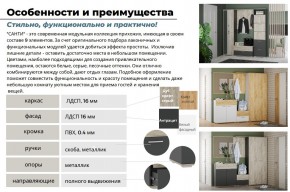 Прихожая Санти Белый/Дуб Крафт Золотой в Трёхгорном - tryohgornyj.mebel74.com | фото 3