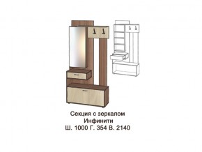 Секция с зеркалом в Трёхгорном - tryohgornyj.mebel74.com | фото
