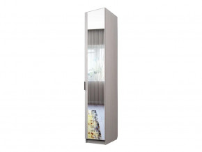 Шкаф для одежды со штангой Экон ЭШ1-РП-19-4-R с зеркалом в Трёхгорном - tryohgornyj.mebel74.com | фото 1