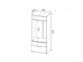 Шкаф с 2-мя ящиками ЛДСП Фаворит в Трёхгорном - tryohgornyj.mebel74.com | фото 2