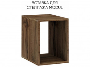 Вставка для стеллажа MODUL в Трёхгорном - tryohgornyj.mebel74.com | фото